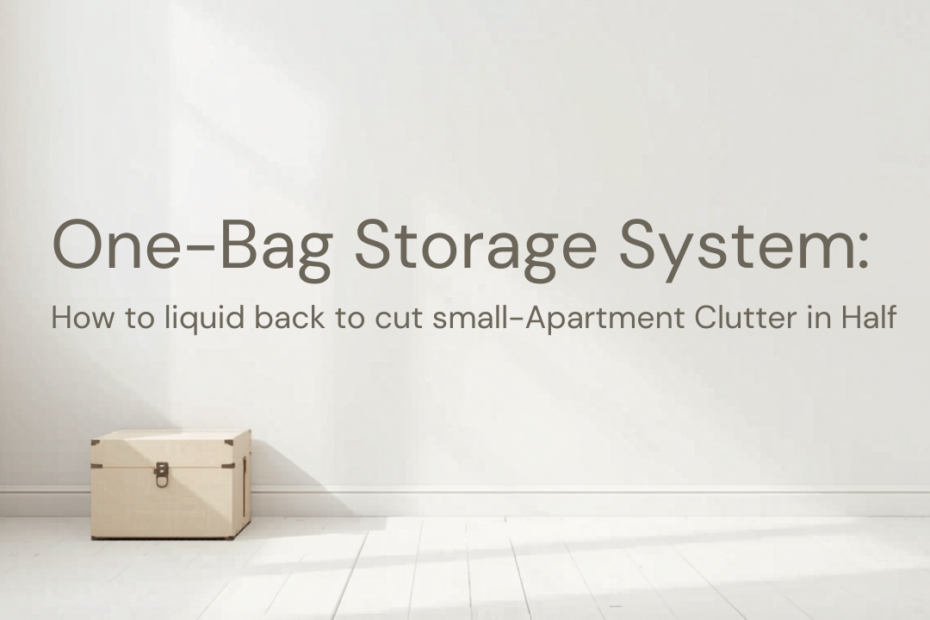 One-Bag Storage System: How to Cut Small-Apartment Clutter in Half
